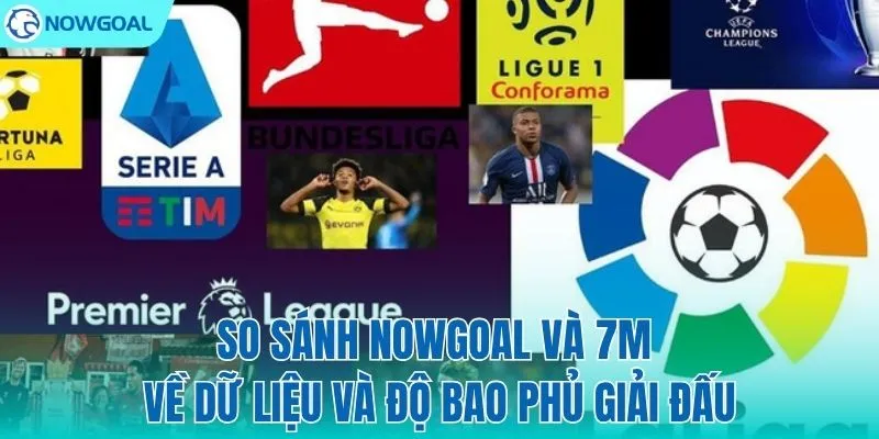 Đâu là nền tảng sở hữu nhiều giải đấu nhất?